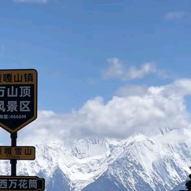 你好刘