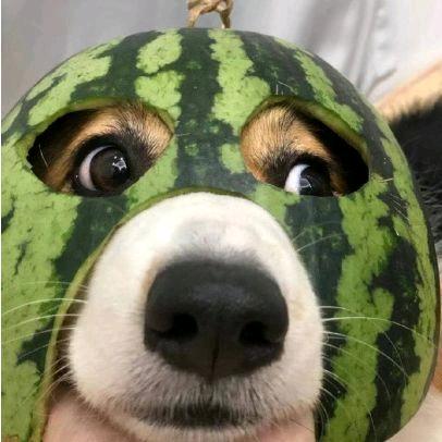 蓝染丶