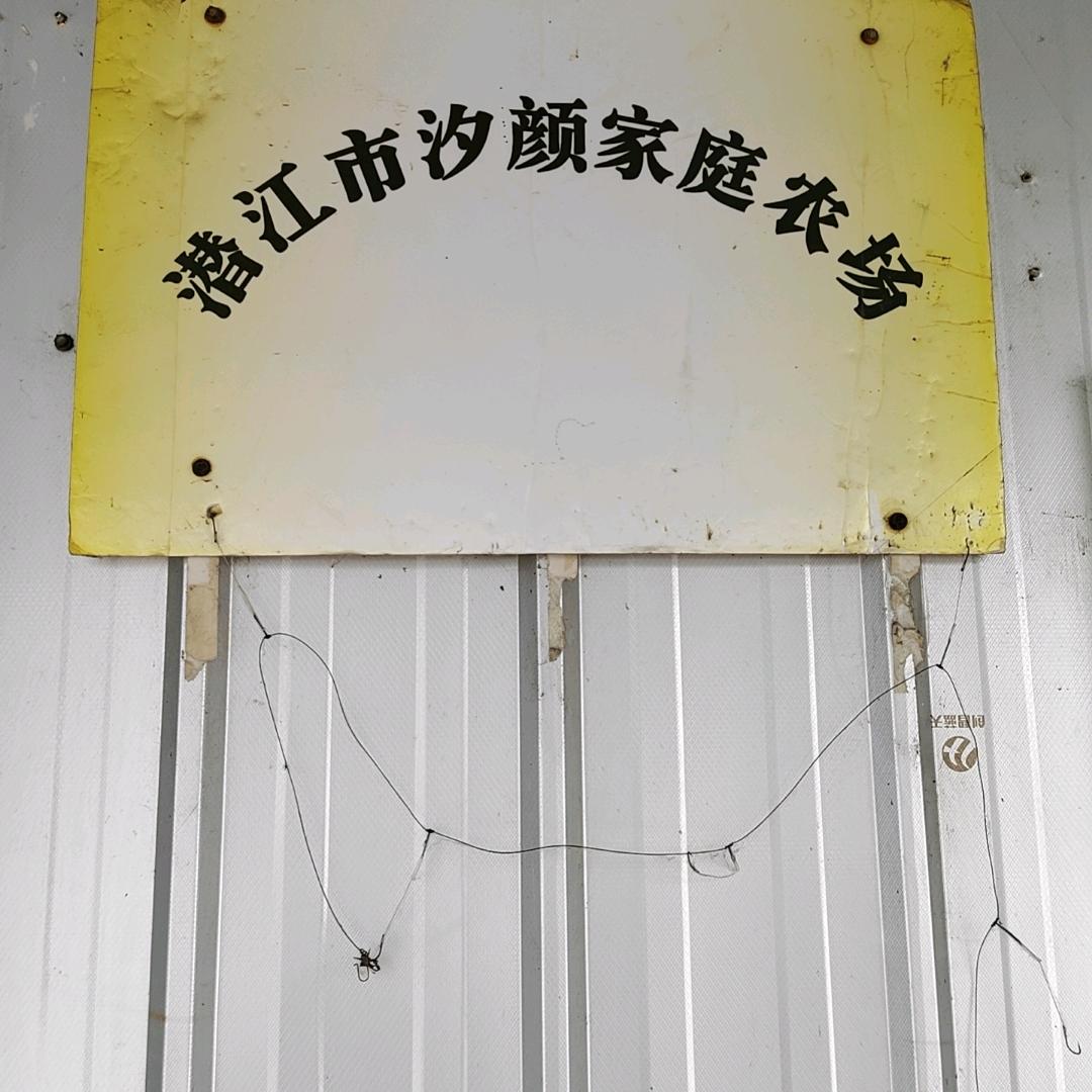潜江市汐颜家庭农场垂钓园