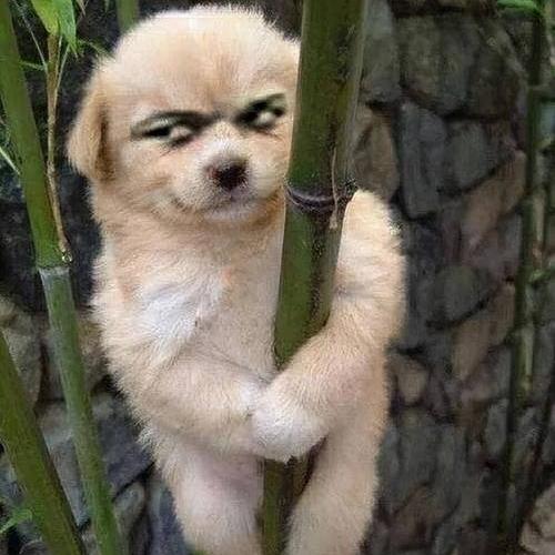 王德贵