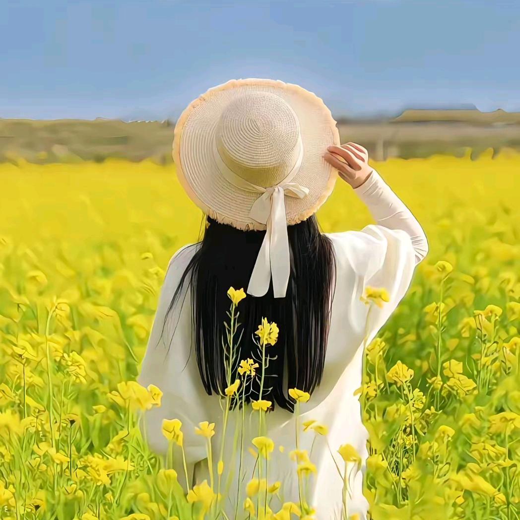 七妹（好物在橱窗）