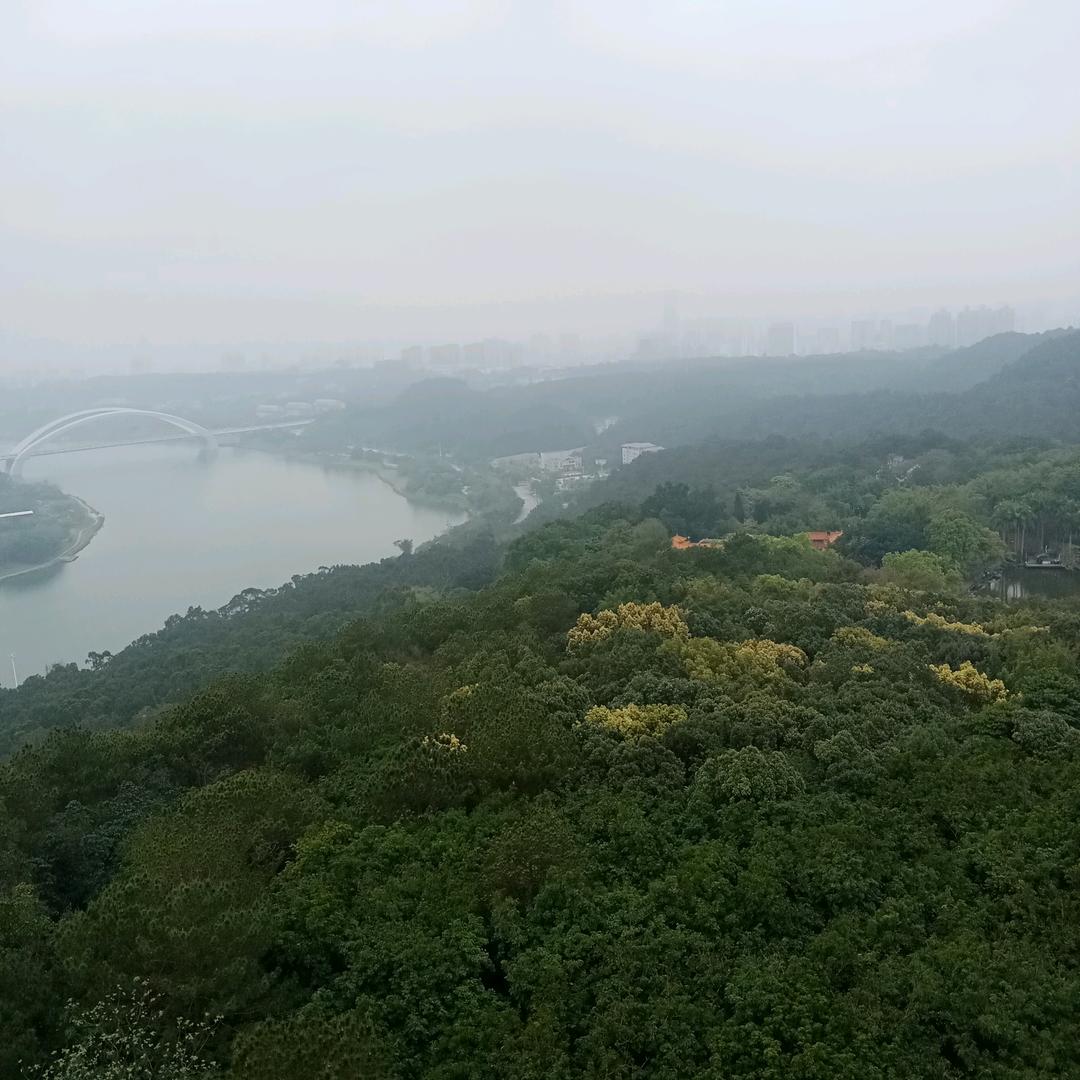 黃竞毅（变永恒）