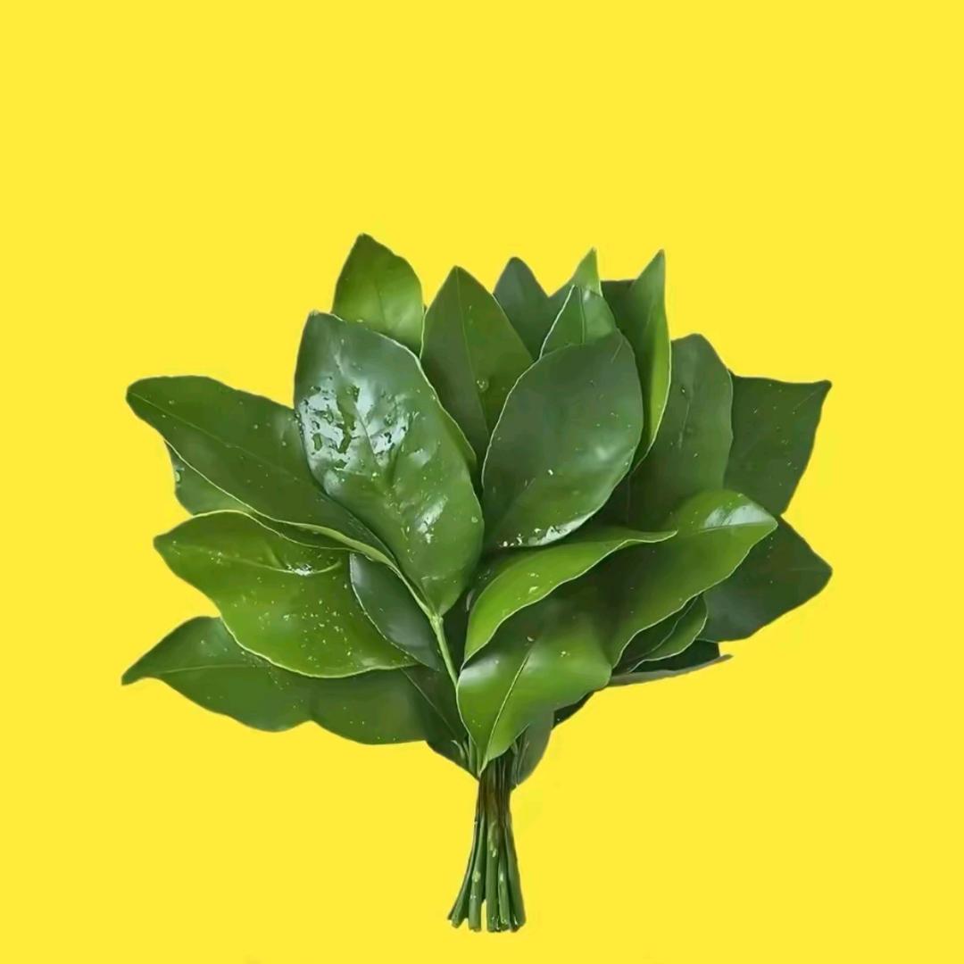 青子—