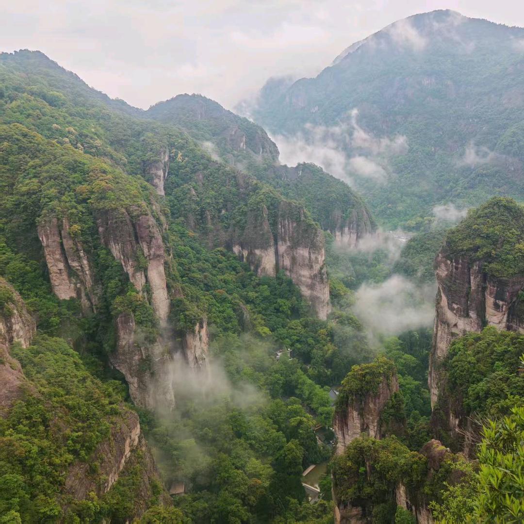 @河南FENG哥