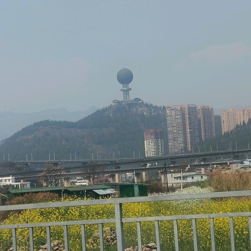 谁能董我孤单