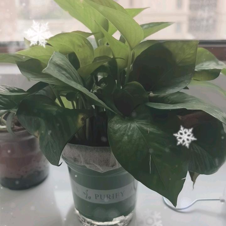 点亮星星
