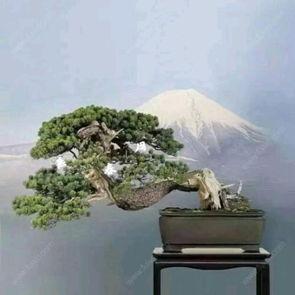 静心