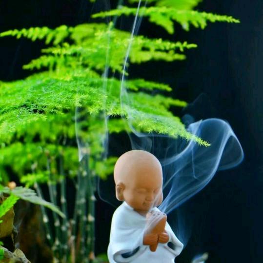 鱼哥