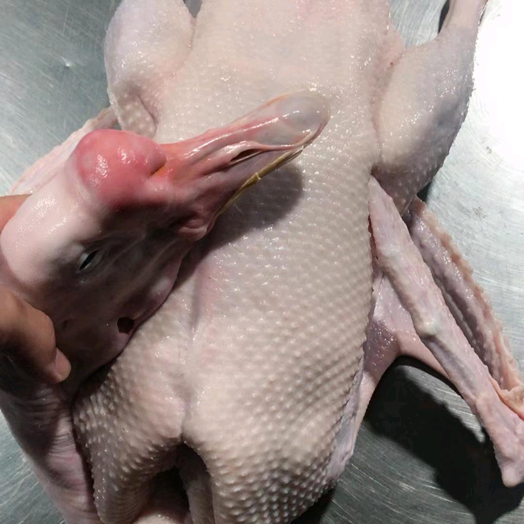 时光。