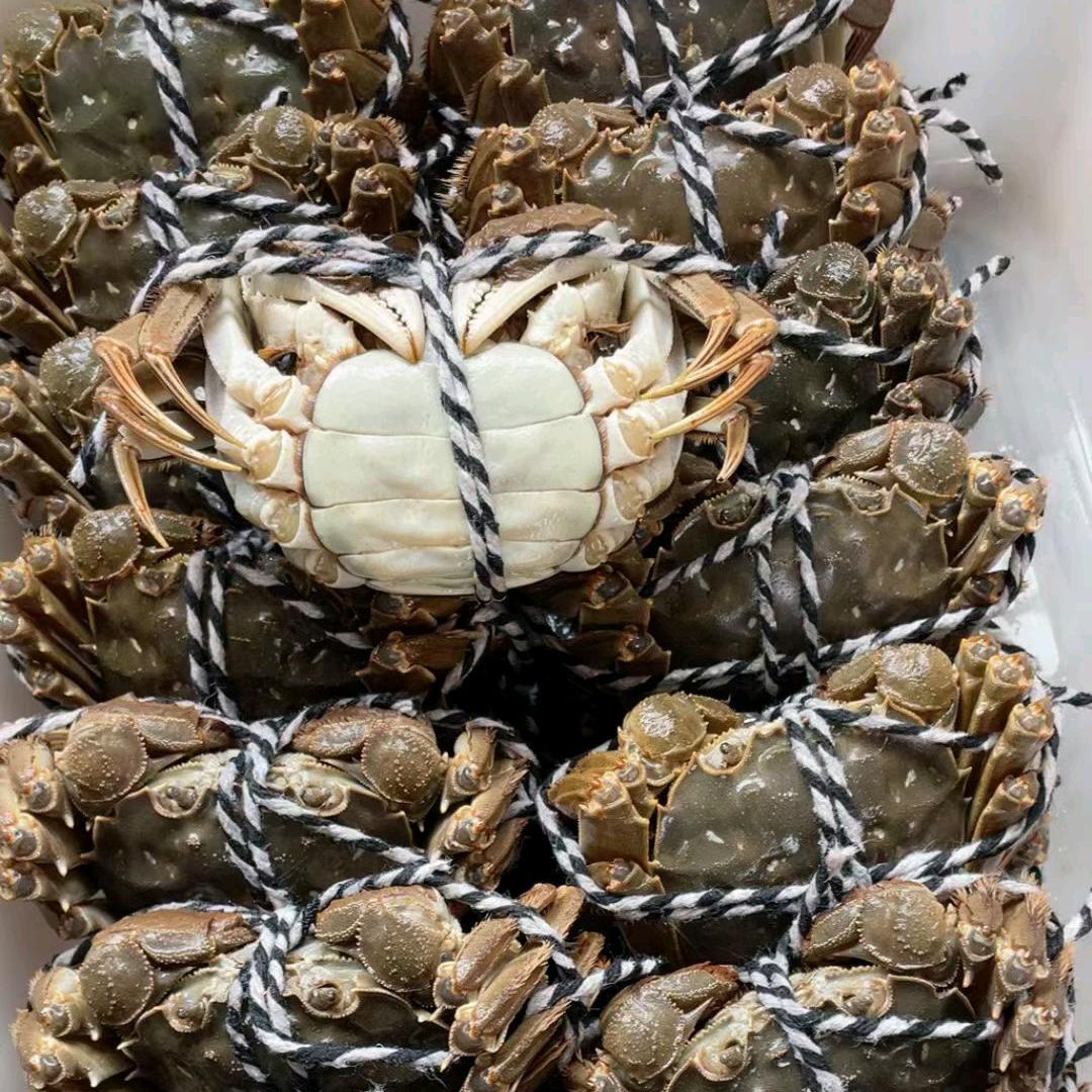 运城大闸蟹  纯天然白对虾