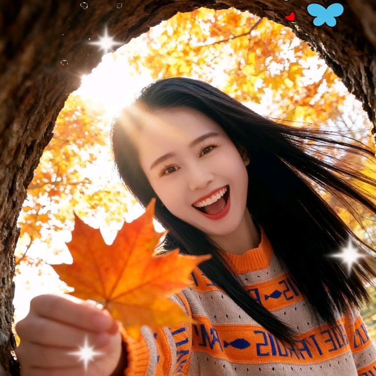 🍁红枫叶🍁