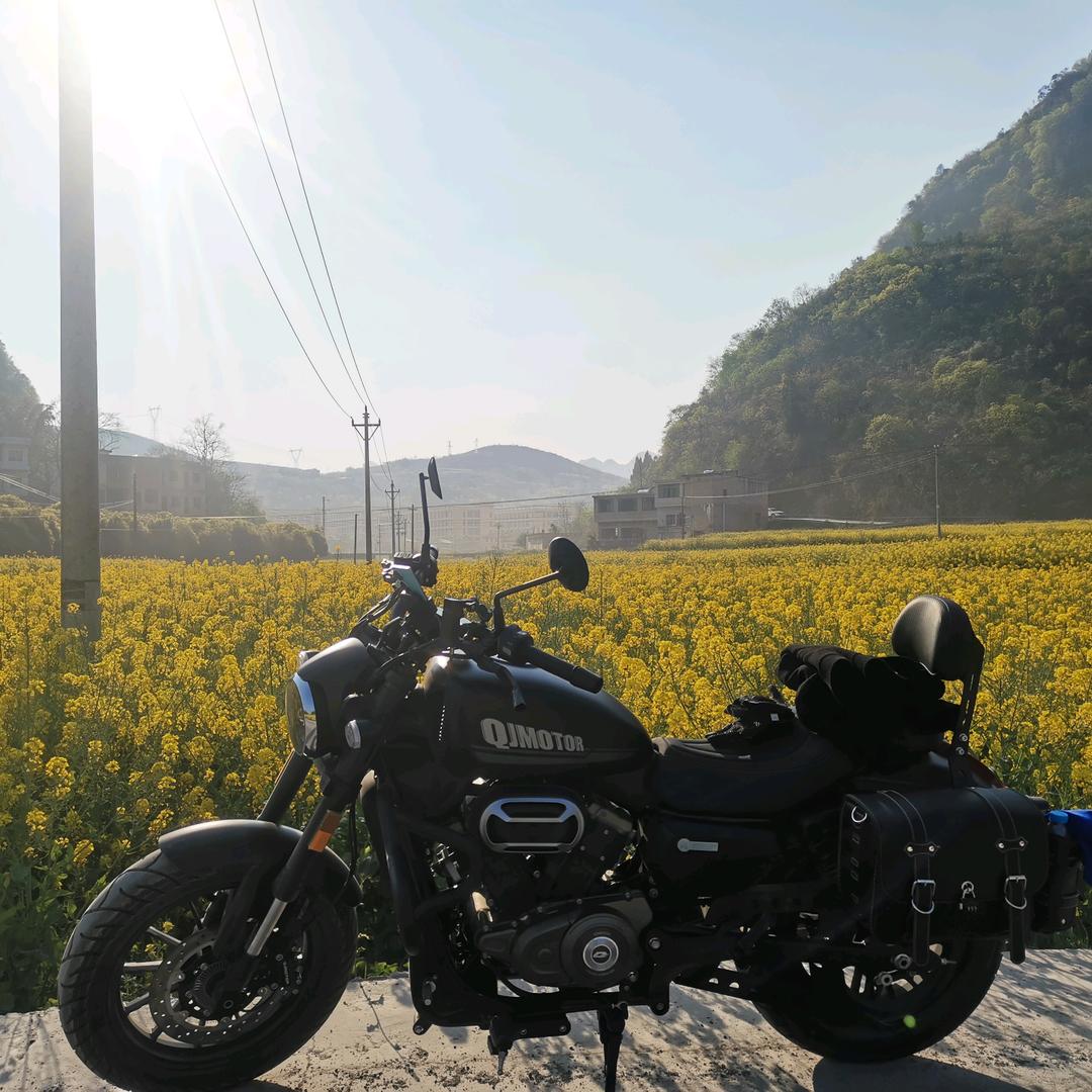 一个教书匠，半个文化人