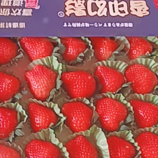 昆山市柏庐市场水果批发