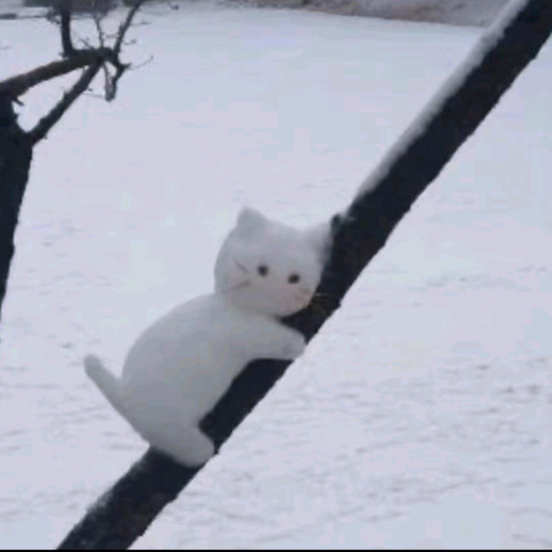 等一个晴天