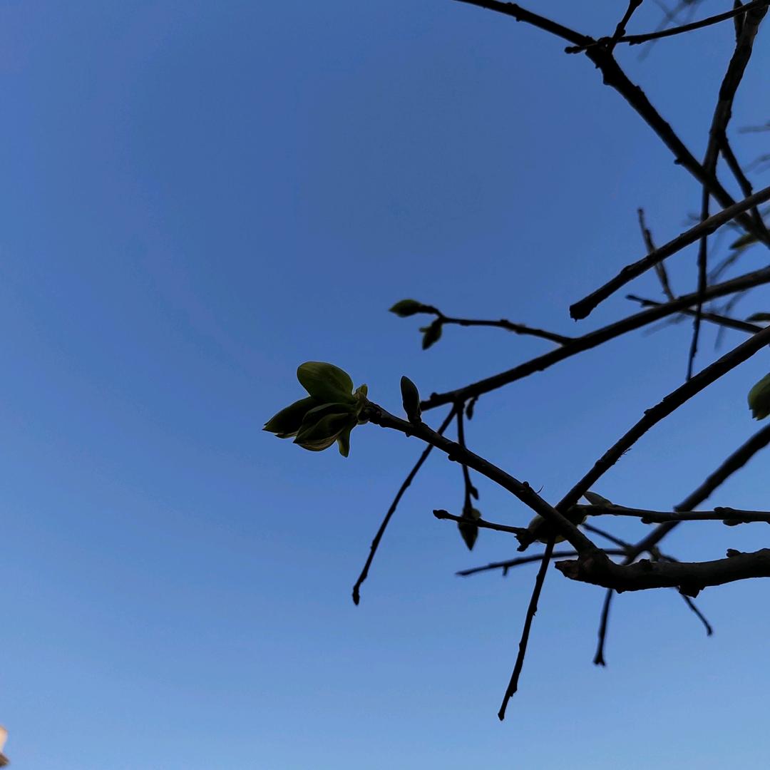雨彬情感