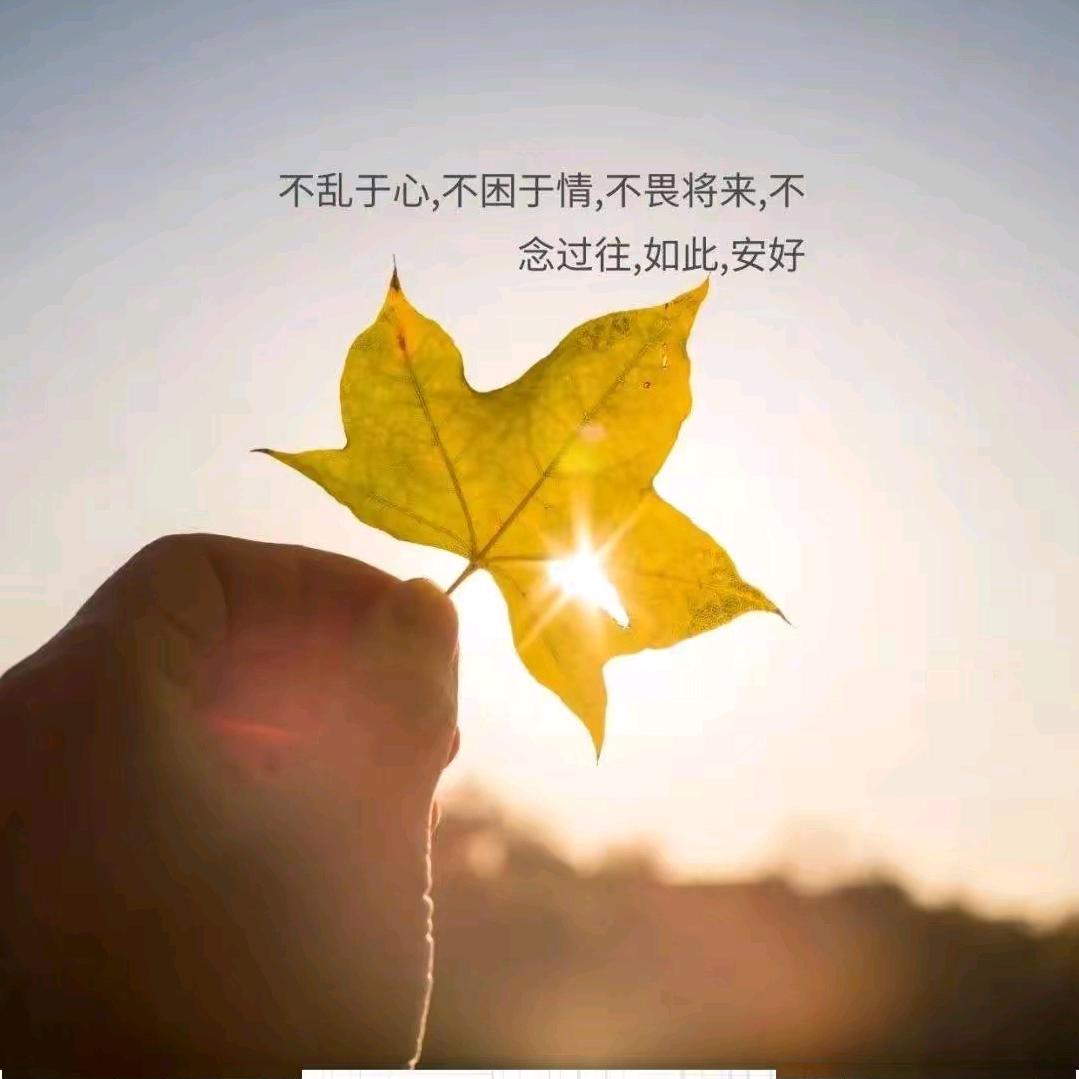岁月无痕