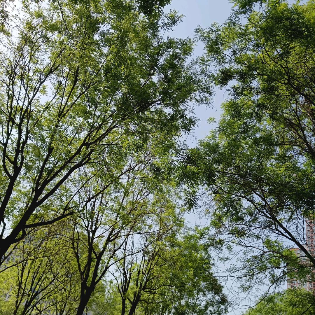 ℋღ᭄伈~劫᭄💞࿐