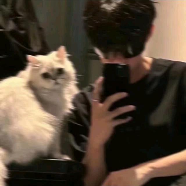 安平