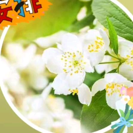 岁月🌈🌈🇨🇳🇨🇳