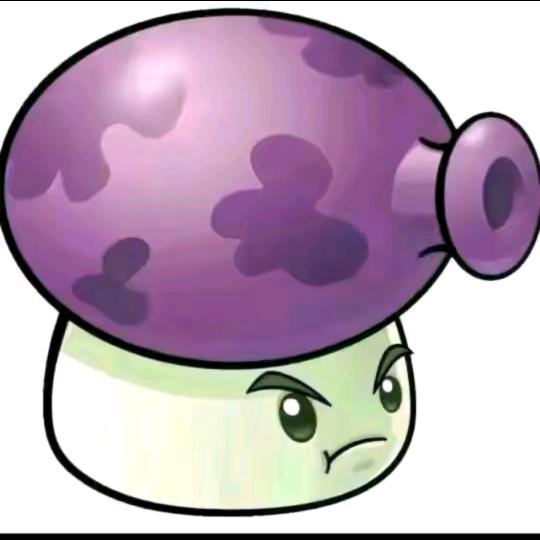 🟣🟣🟣🟣🟣🟣🟣