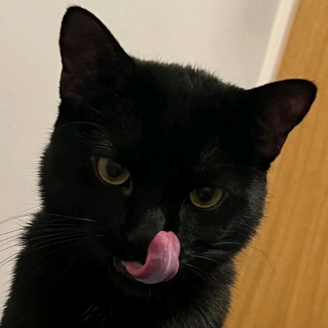 探索美食