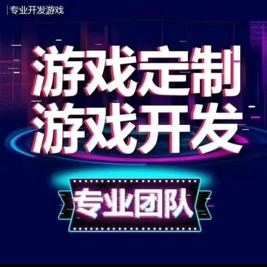 游戏软件开发2008