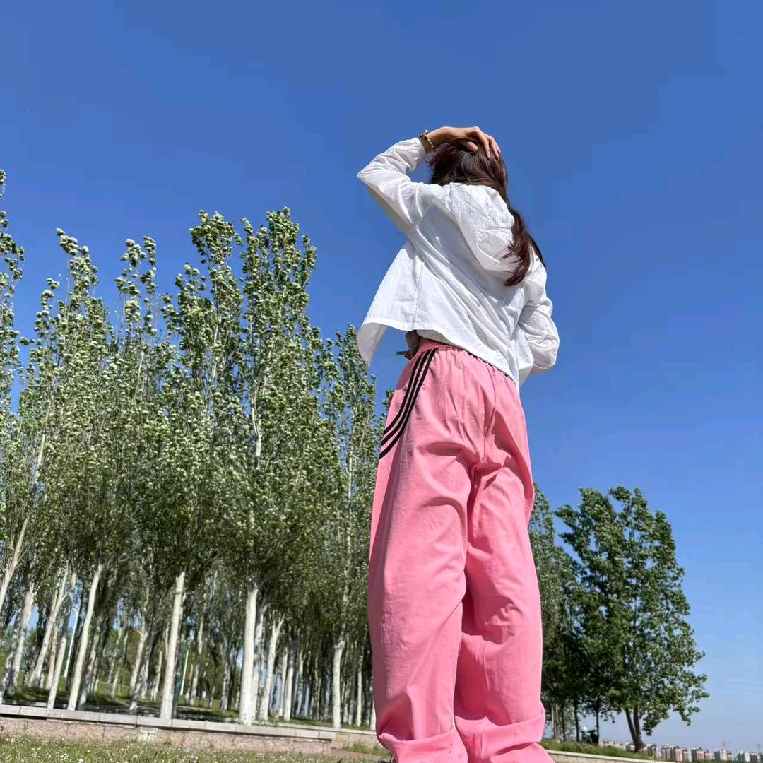 当代牛马（努力给宠物美容）