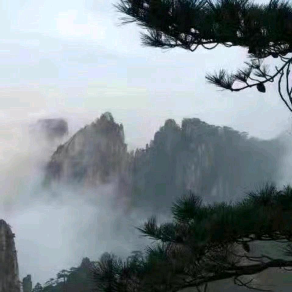 听海