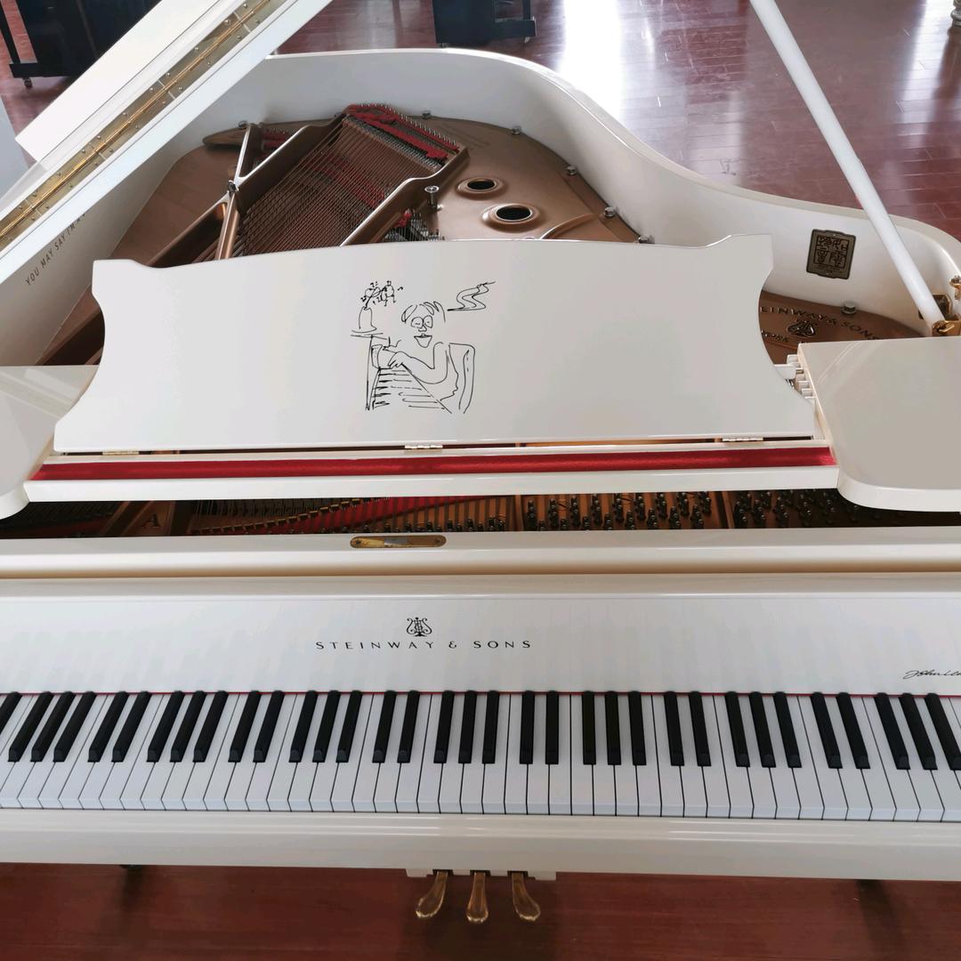 钢琴调音师费老师