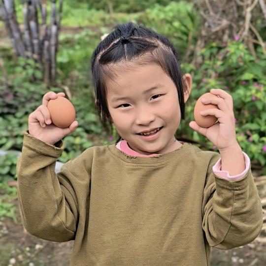 豆妹儿的创业记