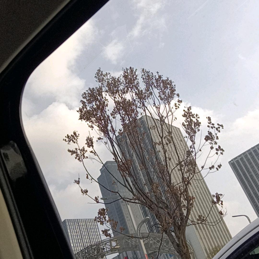 瑞瑞岁岁