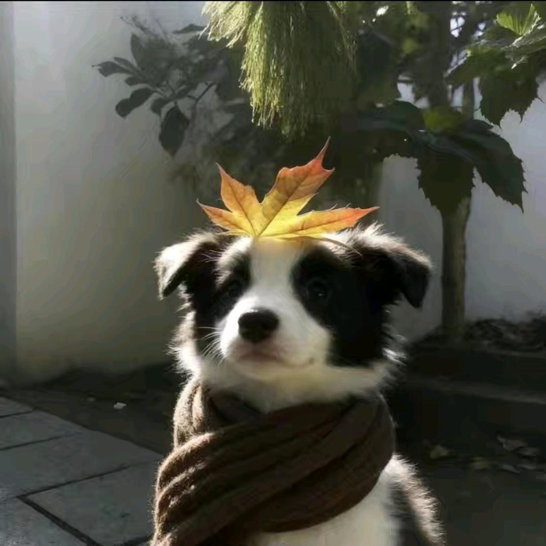 杰.