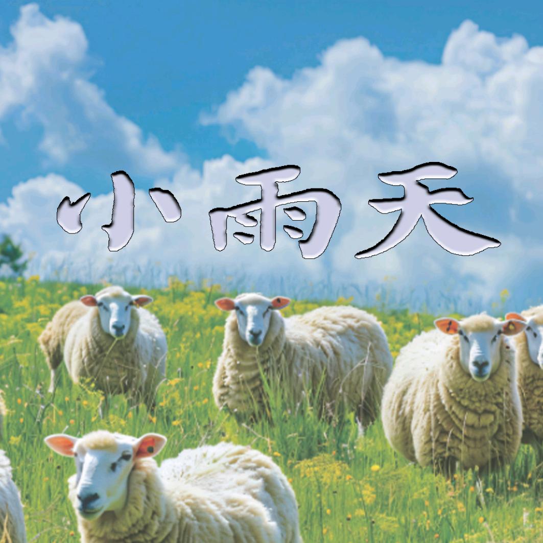 小雨天铜锅涮肉