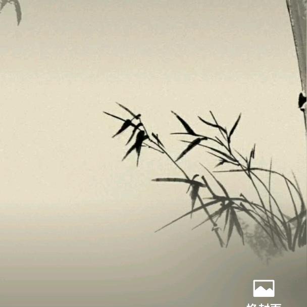 竹