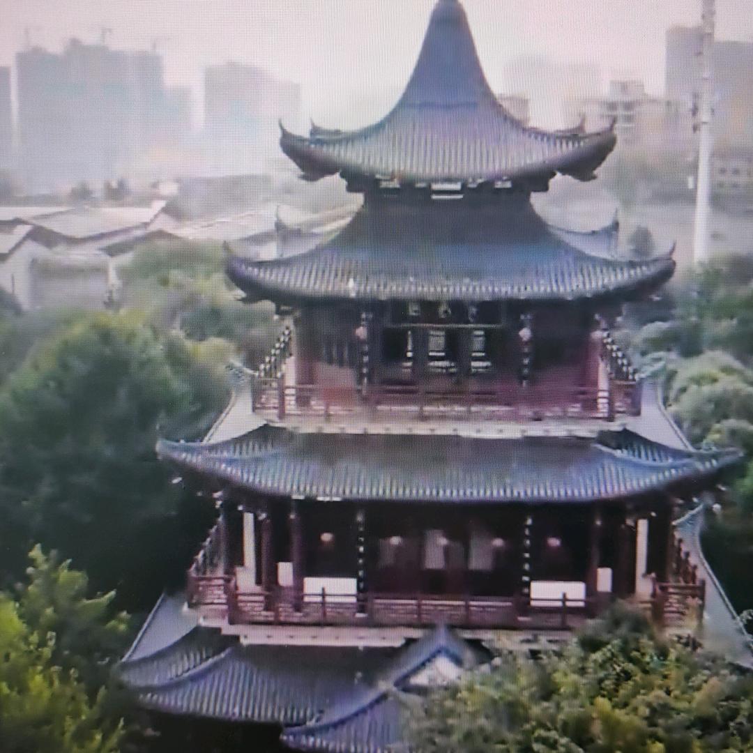 锦鸡居士