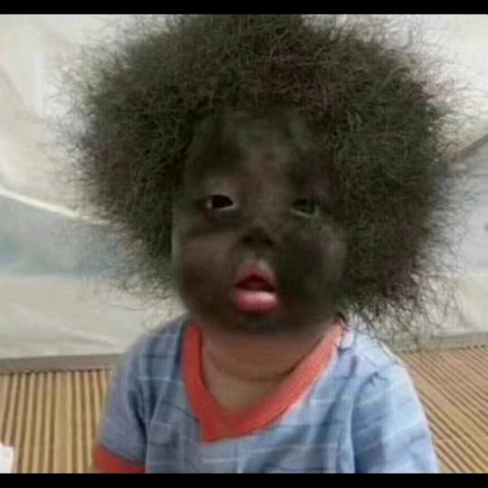 鄂尔多斯军哥。