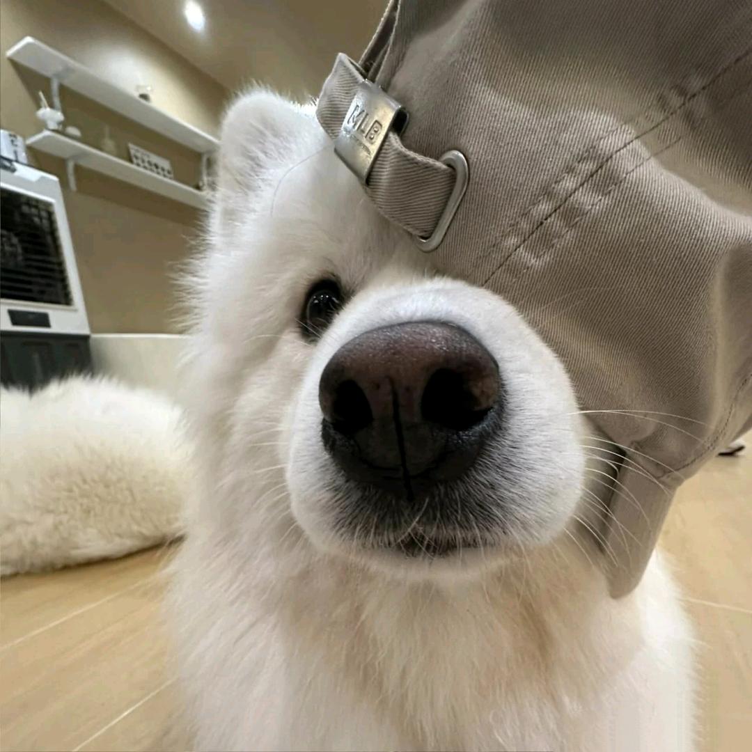 快点去睡觉