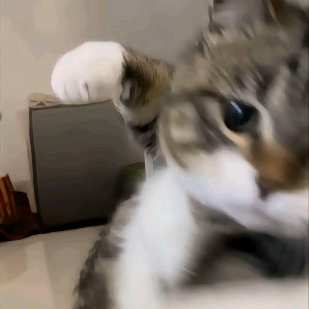 🌈偷老婆钱刷礼物