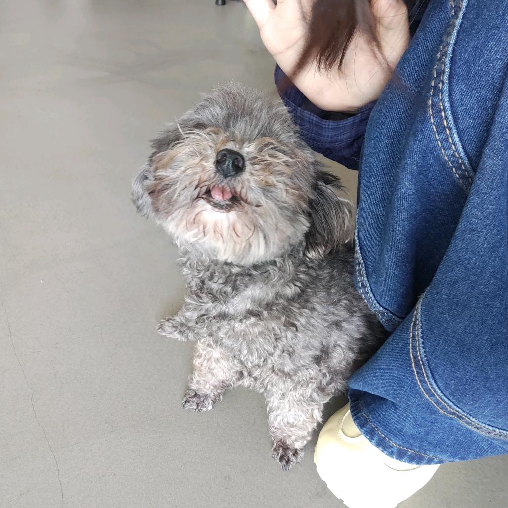 橘子