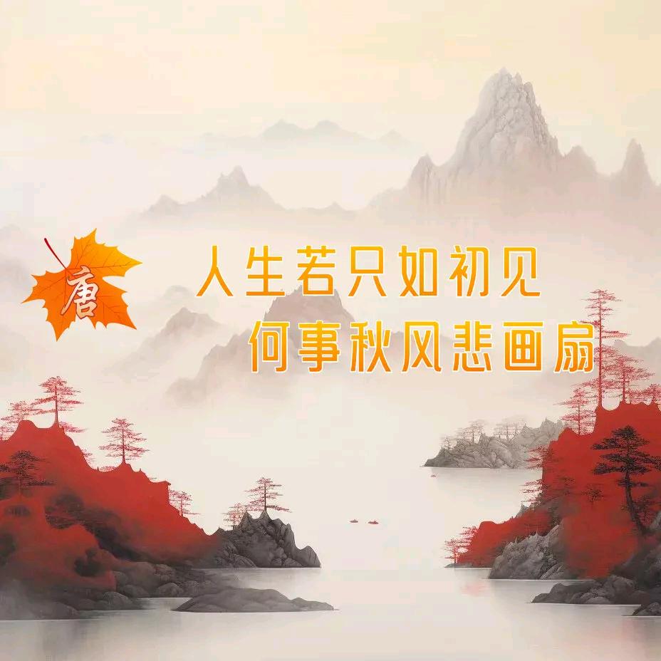 数字游戏福排