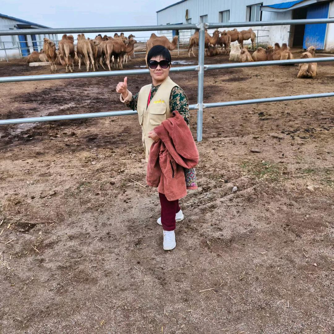 罗家集开心姐驼奶粉