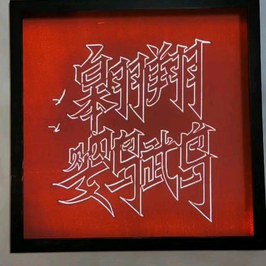 商丘翱翔鹦鹉