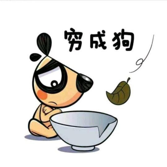 笨鱼儿吖