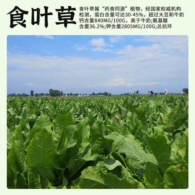 山东康峪农业净菜加工