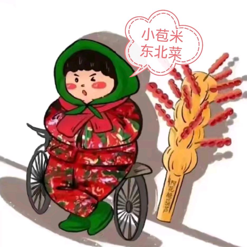 海南北方人