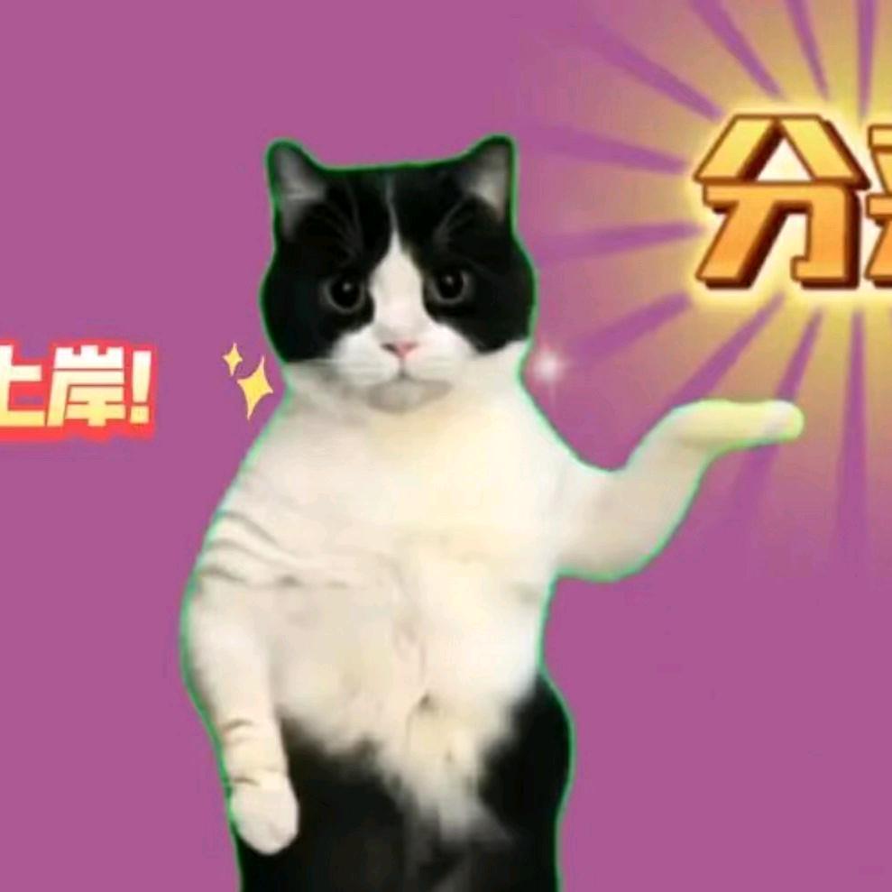红安华图教育富贵老师