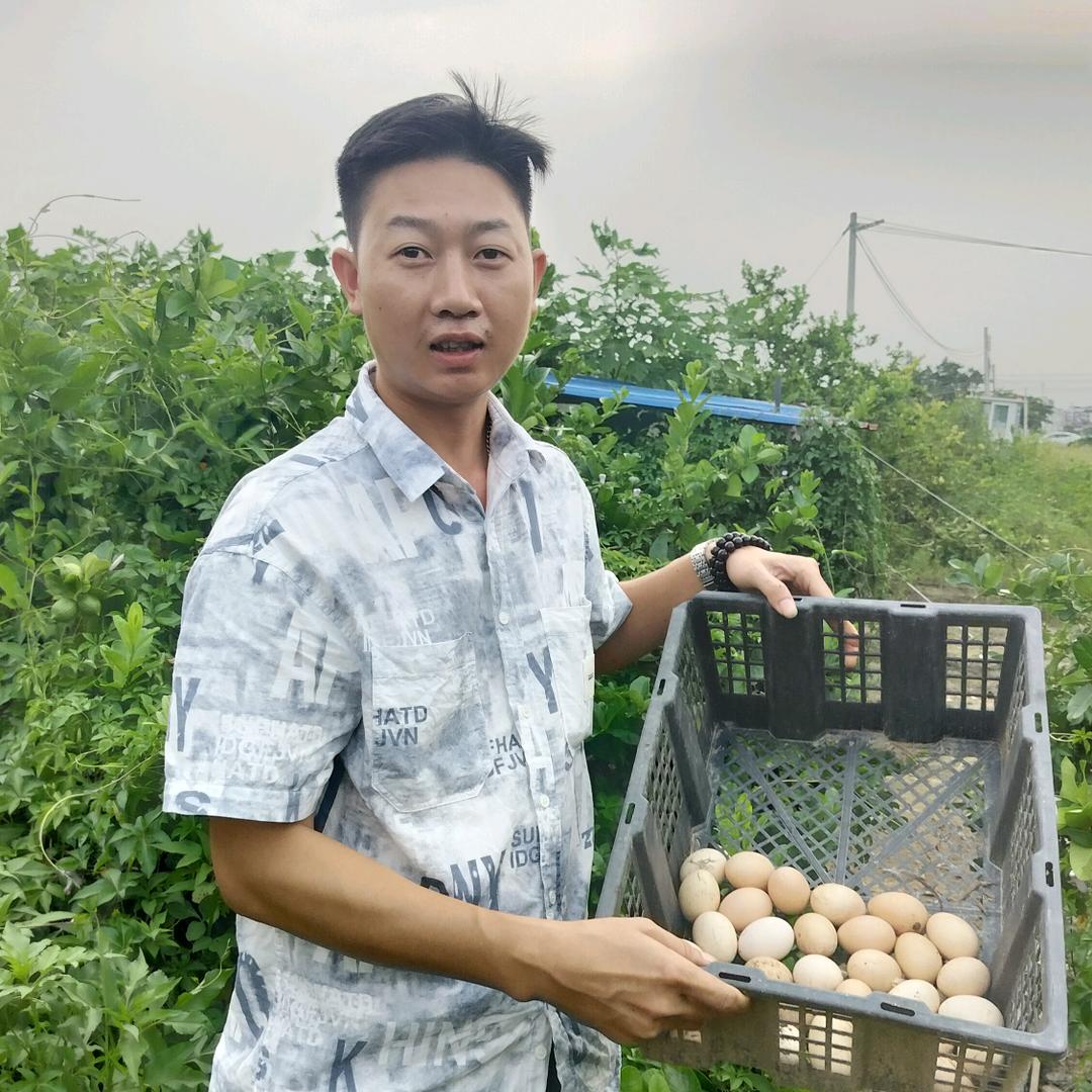 广州合众庄园