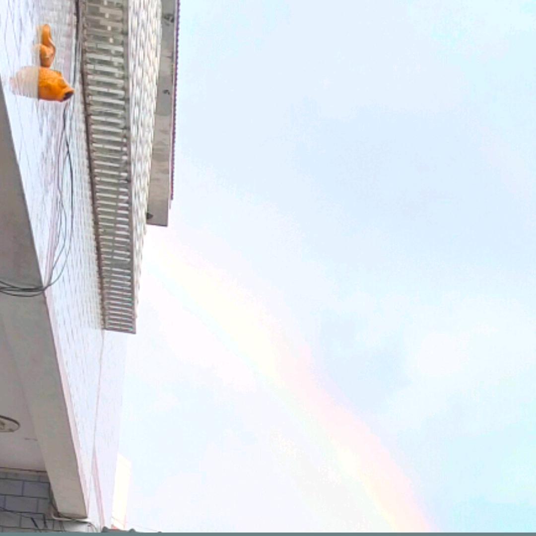 ♀️🌈☘️日九《旭》♀️🌈☘️
