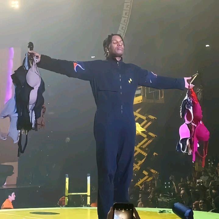 胖宝宝戚树权爱坎普