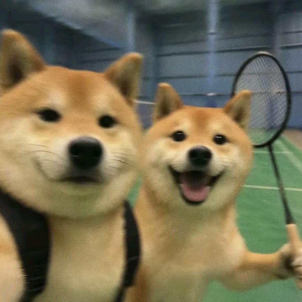 王逸泽